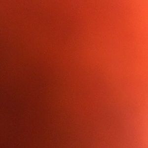 Meet your Posher, Hayley